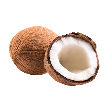Die Kokos Frucht ist Rohstoff und natürlicher Inhaltsstoff von i+m Naturkosmetik - fair bio vegan.