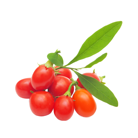 Goji Beere