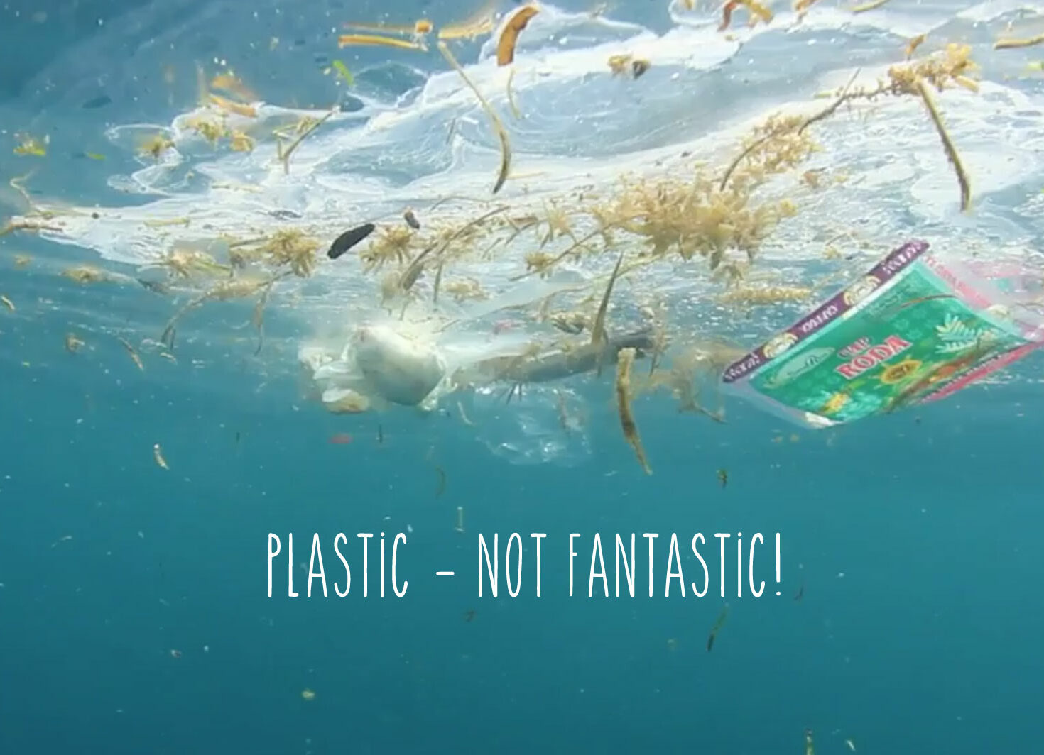 Spendenaktion gegen Plastikmüll in den Meeren!