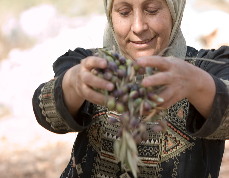 Olivenöl aus Palestine